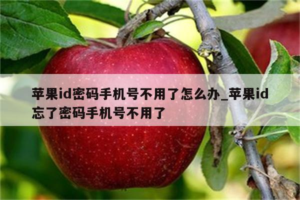 <strong>苹果id</strong>密码手机号不用了怎么办_<strong>苹果id</strong>忘了密码手机号不用了